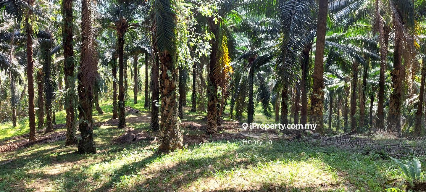 Tanah Perindustrian untuk Dijual di Hulu Semenyih, Semenyih oleh Henry Ta - iProperty.com.my