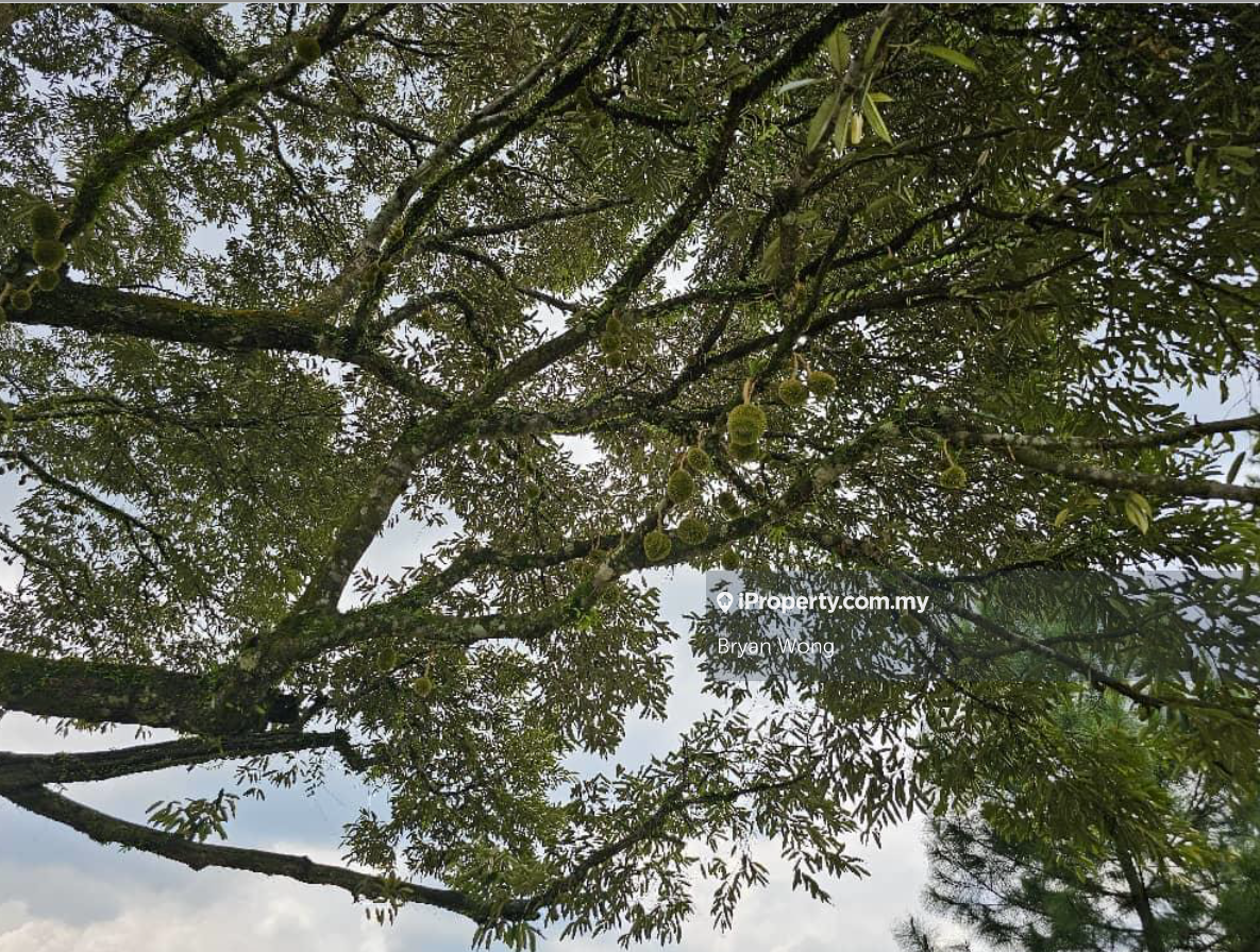 Agricultural Land for Sale in Kampung Sungai Makau, Hulu Langat by Bryan Wong - iProperty.com.my