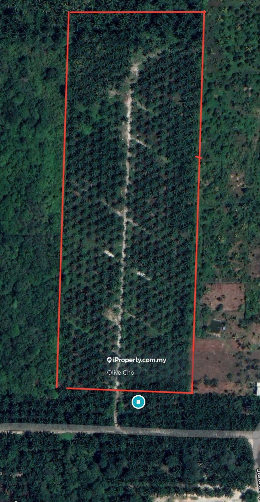 Agricultural Land for Sale in Kapar, Klang by Olive Cho - iProperty.com.my