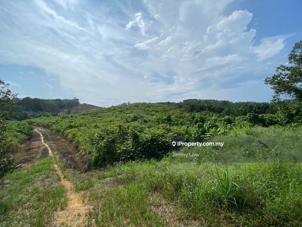 Agricultural Land for Sale in Karak, Pahang by Jimmy Low - iProperty.com.my