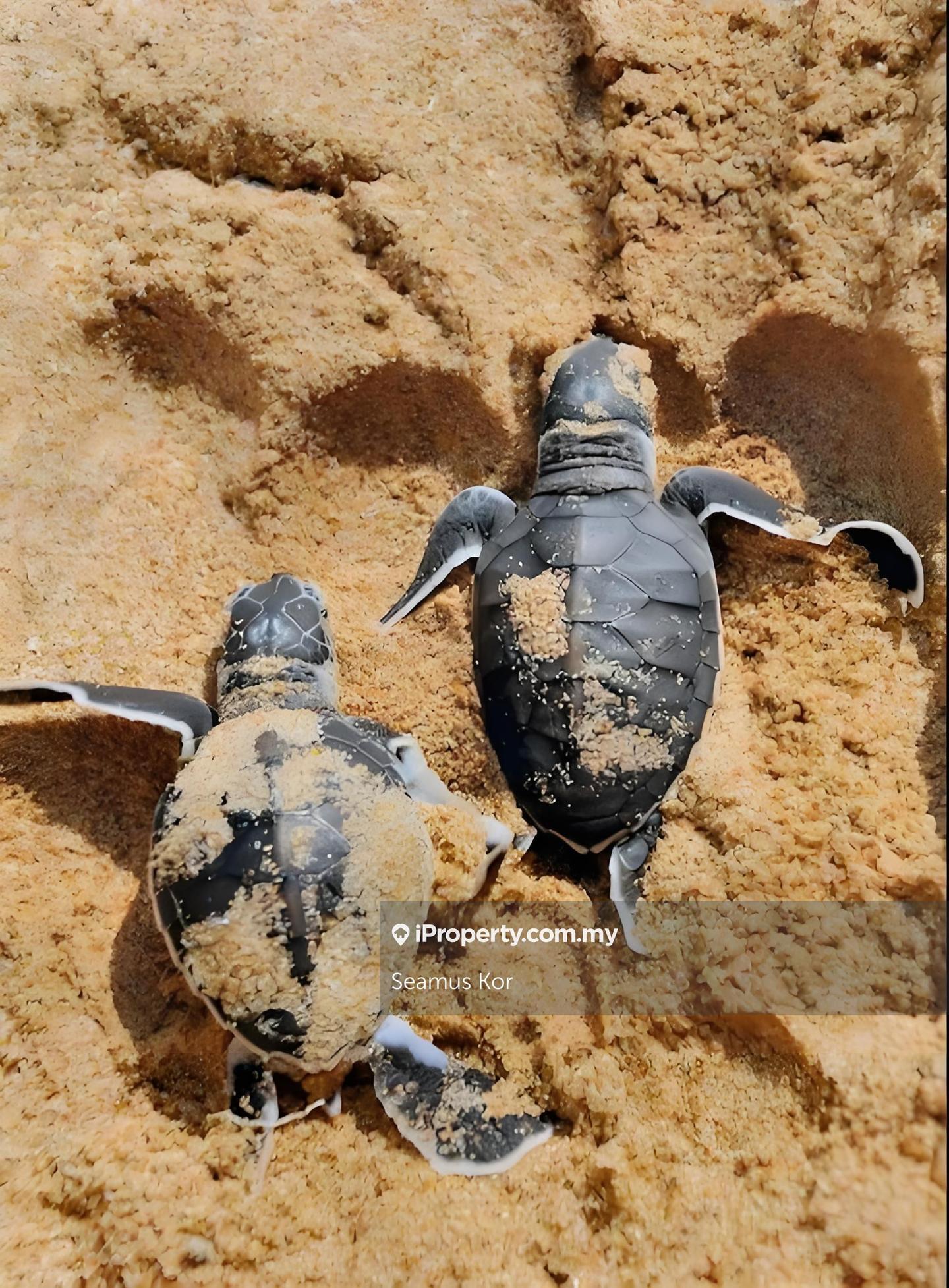 Hotel / Resort for Sale in Kuala Terengganu, Terengganu by Seamus Kor - iProperty.com.my