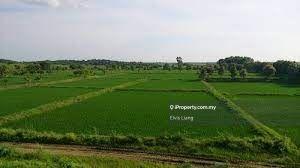 Tanah Pertanian untuk Dijual di Endau, Rompin oleh Elvis Liang - iProperty.com.my