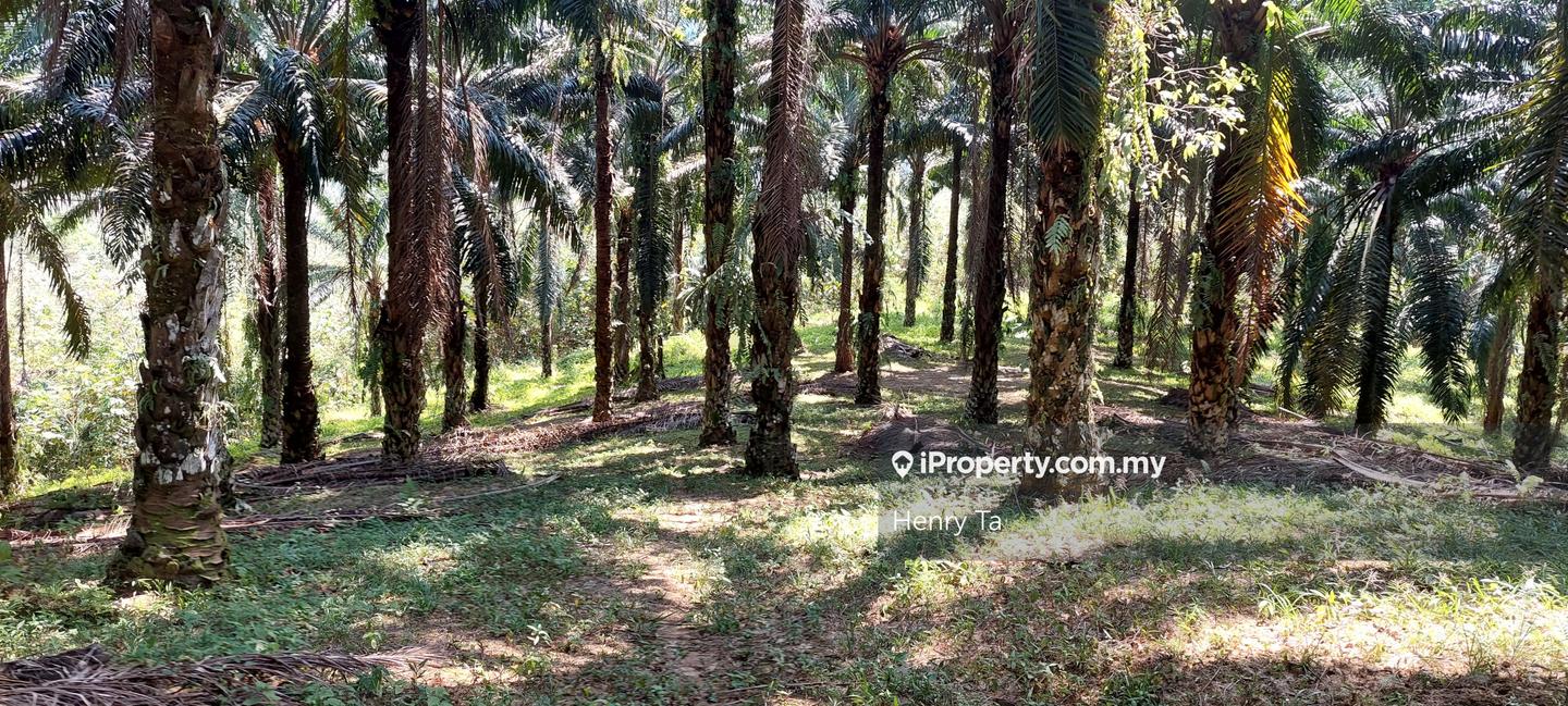 Tanah Perindustrian untuk Dijual di Hulu Semenyih, Semenyih oleh Henry Ta - iProperty.com.my
