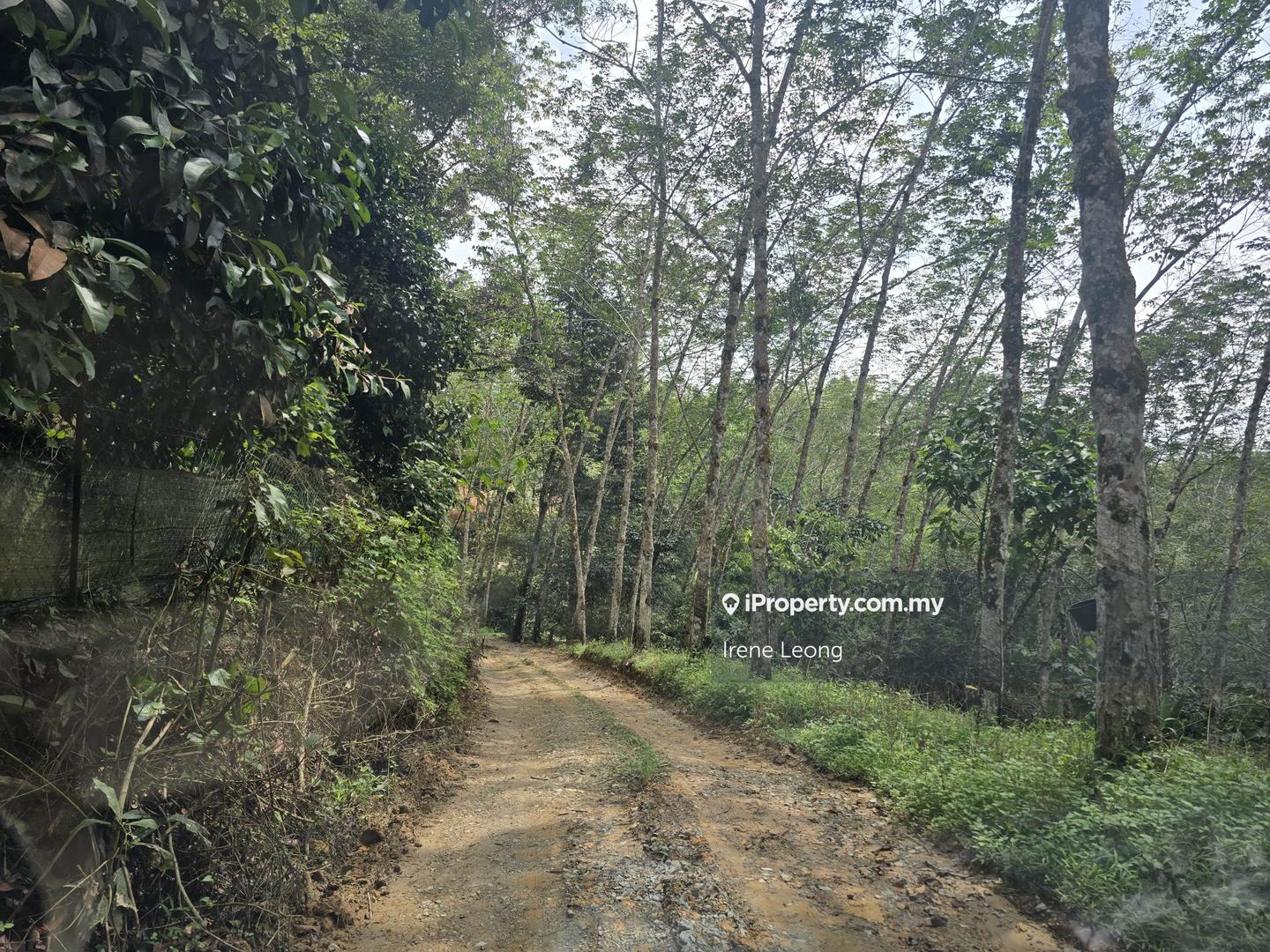 Agricultural Land for Sale in Karak, Pahang by Irene Leong - iProperty.com.my