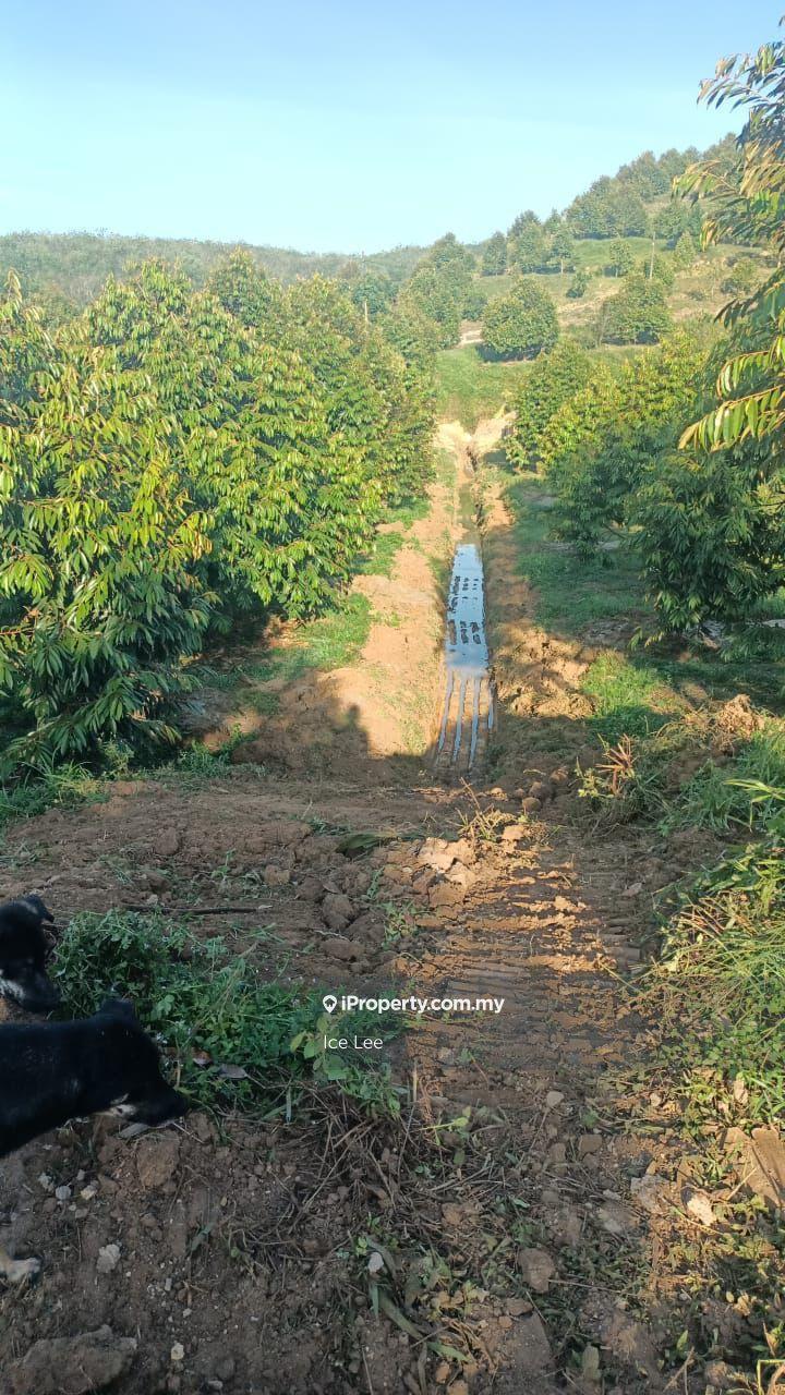 Agricultural Land for Sale in Kerling, Rawang by Ice Lee - iProperty.com.my