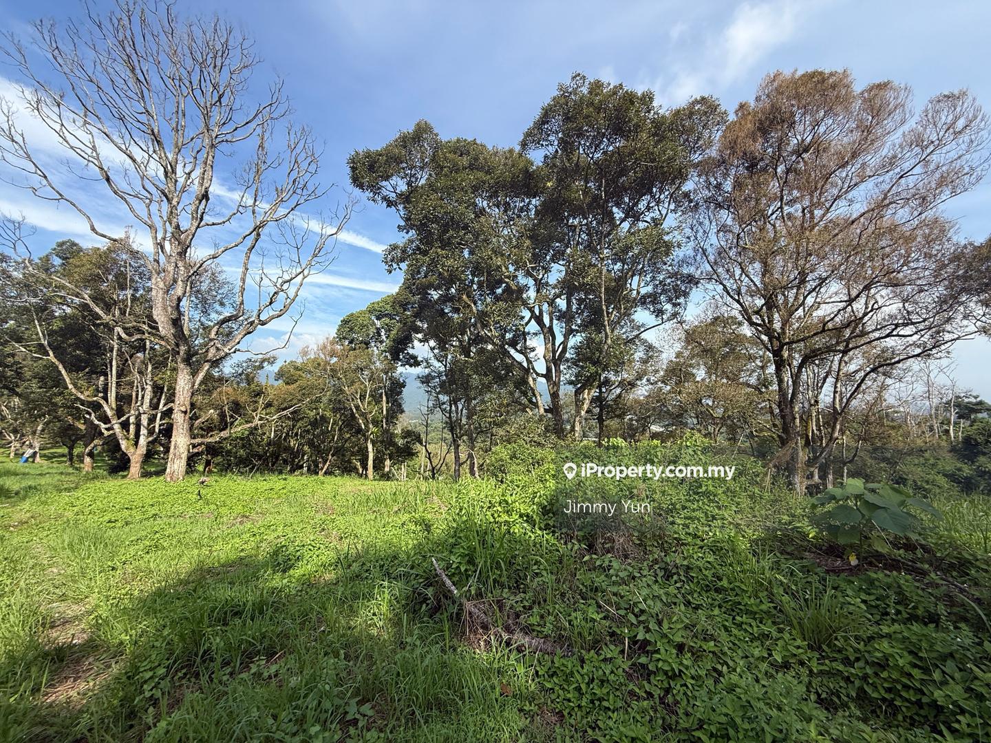 Agricultural Land for Sale in Pekan Mantin, Mantin by Jimmy Yun - iProperty.com.my