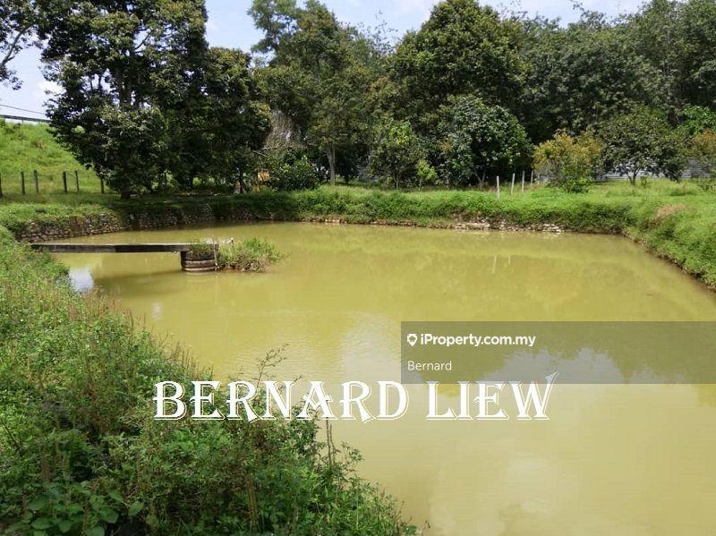 Agricultural Land for Sale in Gurun, Kedah by Bernard - iProperty.com.my