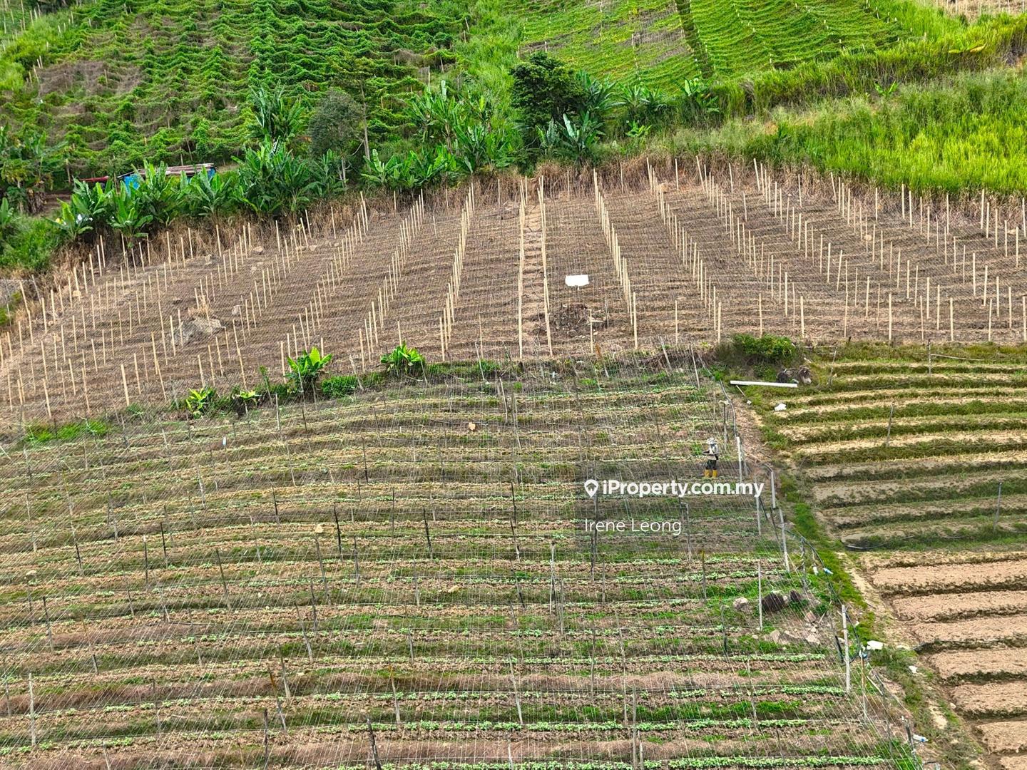 Tanah Pertanian untuk Dijual di Bukit Tinggi, Bentong oleh Irene Leong - iProperty.com.my