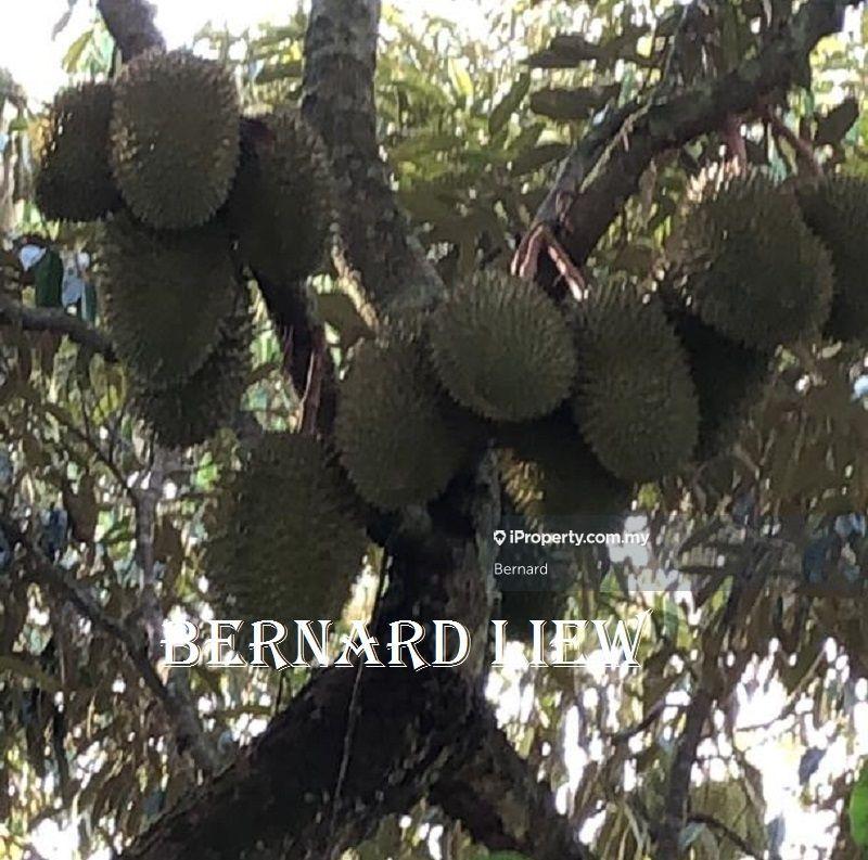 Agricultural Land for Sale in Gurun, Kedah by Bernard - iProperty.com.my