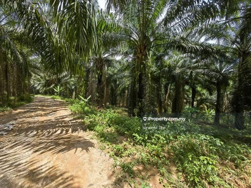 Agricultural Land for Sale in Taman Jelebu, Kuala Klawang by Vincent Tee - iProperty.com.my