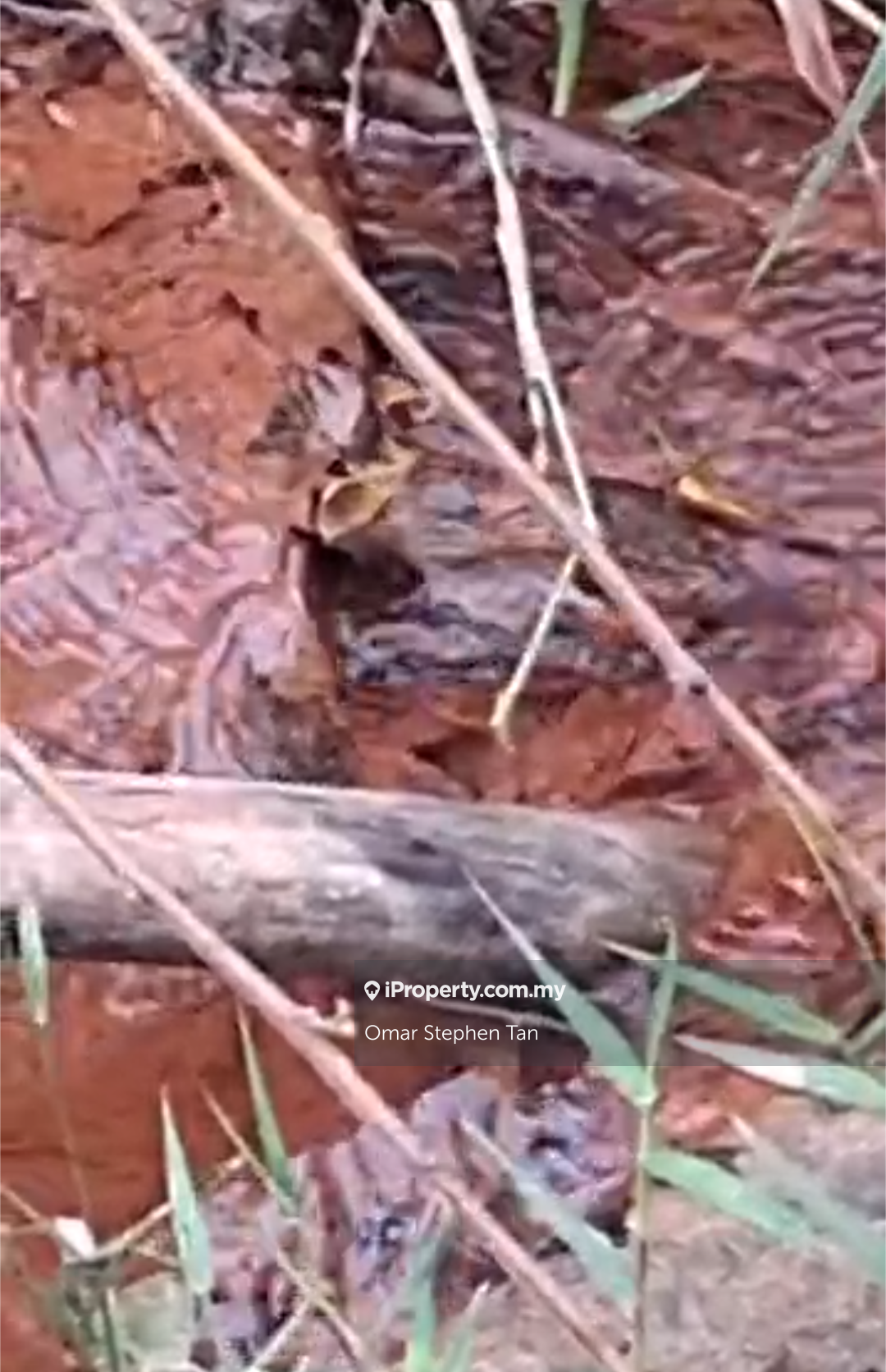 Agricultural Land for Sale in Hulu Yam, Rawang by Omar Stephen Tan - iProperty.com.my