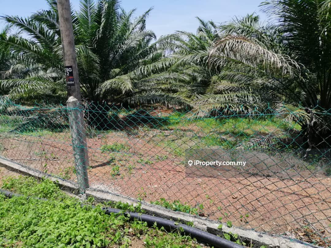 Tanah Pertanian untuk Dijual di Sungkala, Port Dickson oleh Jeeva - iProperty.com.my