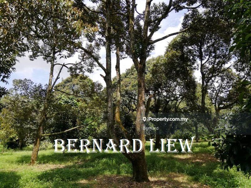 Agricultural Land for Sale in Gurun, Kedah by Bernard - iProperty.com.my
