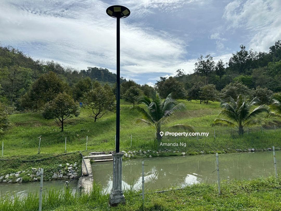 Agricultural Land for Sale in Serendah, Rawang by Amanda Ng - iProperty.com.my