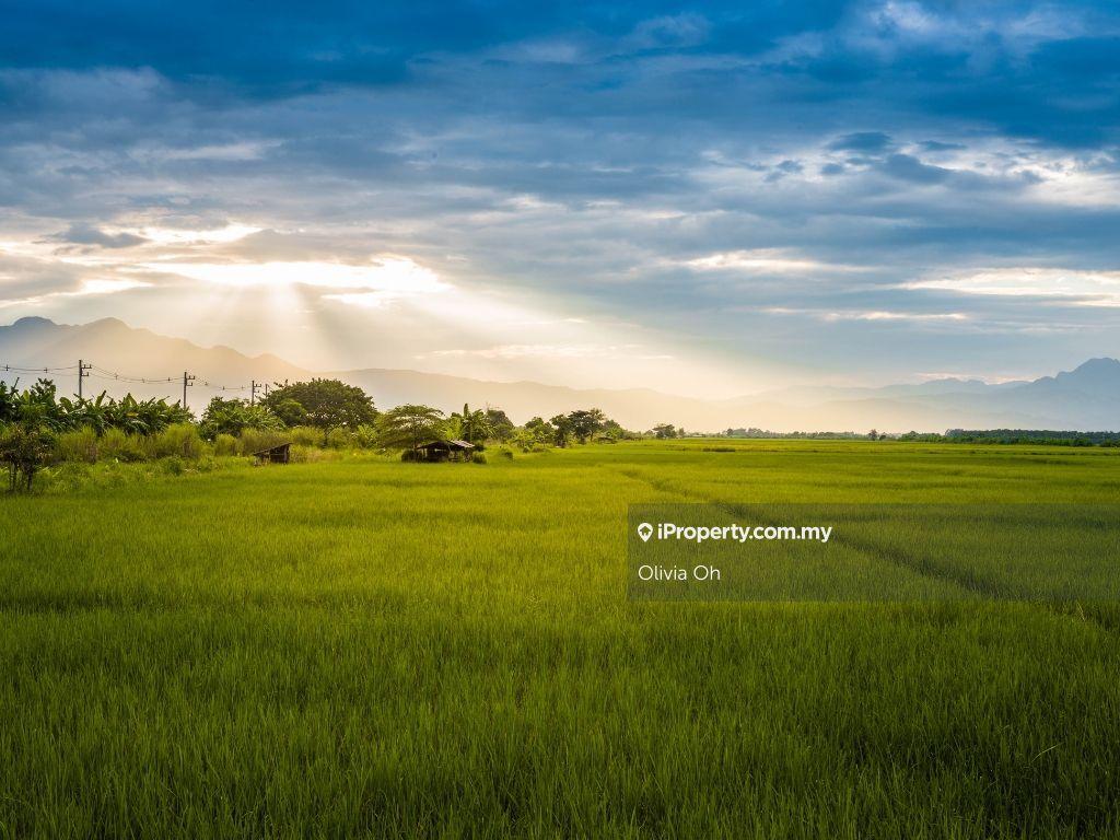 Industrial Land for Sale in Pajam, Mantin by Olivia Oh - iProperty.com.my