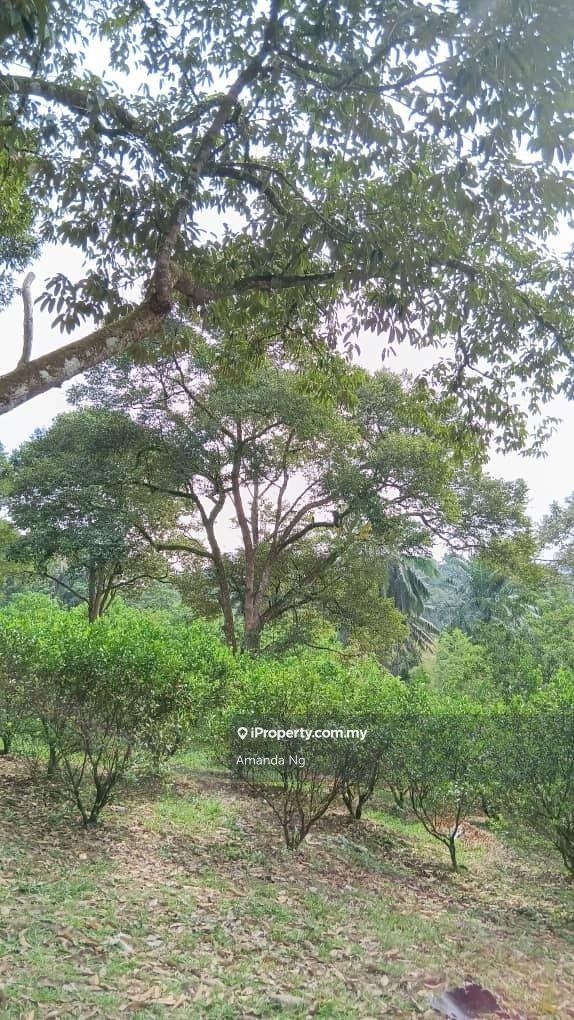 Agricultural Land for Sale in Antara Gapi, Ulu Yam by Amanda Ng - iProperty.com.my