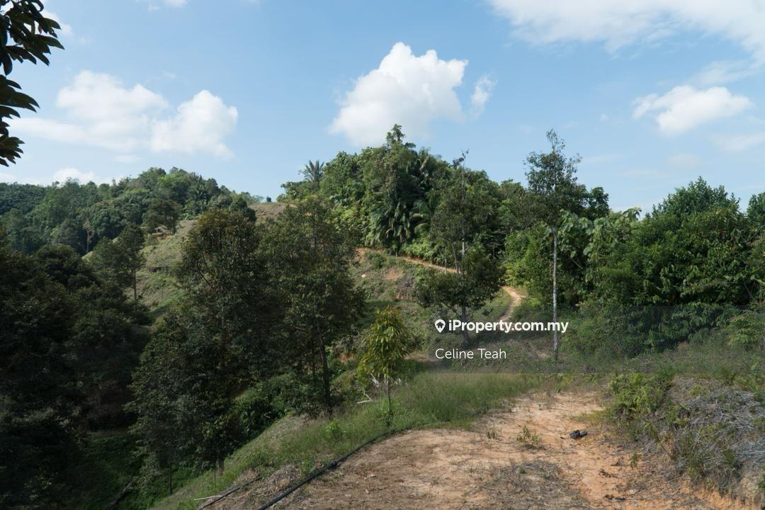 Agricultural Land for Sale in Papar Fruits Farm, Papar by Celine Teah - iProperty.com.my