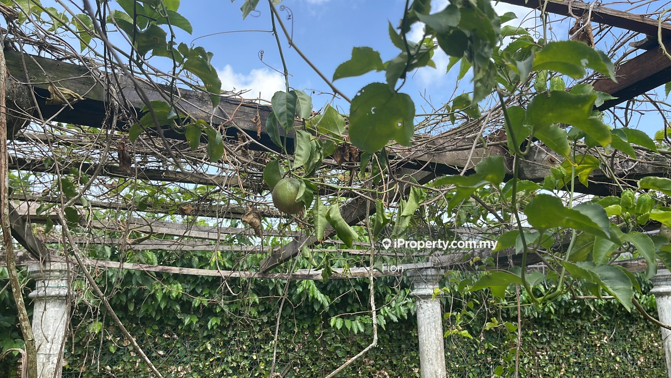 Banglo untuk Dijual di Bandar Tiram, Ulu Tiram oleh Fion - iProperty.com.my