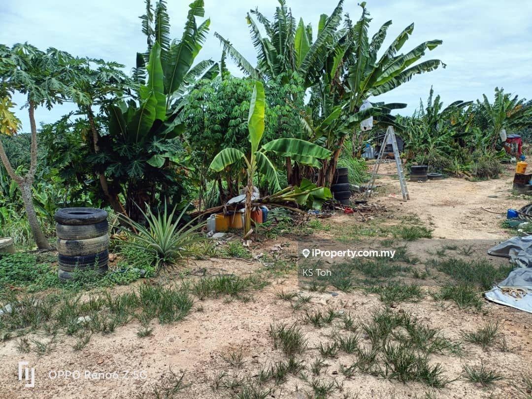 Agricultural Land for Sale in Kampung Kendong Lama, Gadong by KS Toh - iProperty.com.my