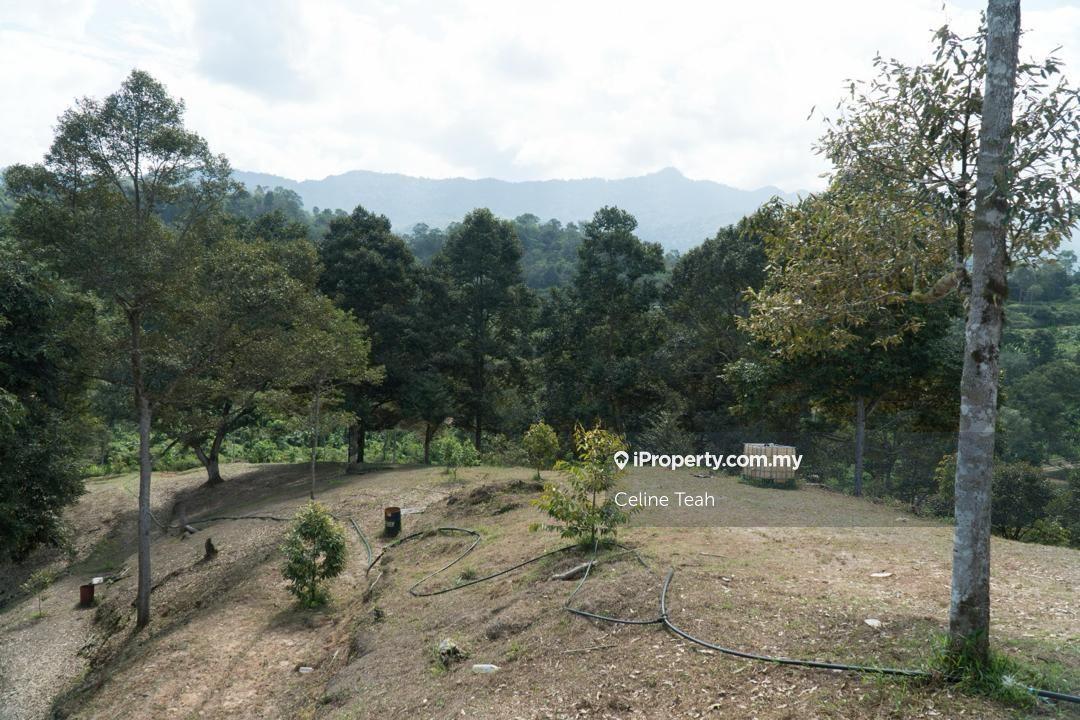 Agricultural Land for Sale in Papar Fruits Farm, Papar by Celine Teah - iProperty.com.my
