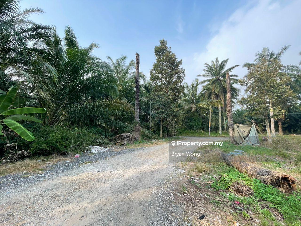 Agricultural Land for Sale in Kampung Jenjarom, Jenjarom by Bryan Wong - iProperty.com.my