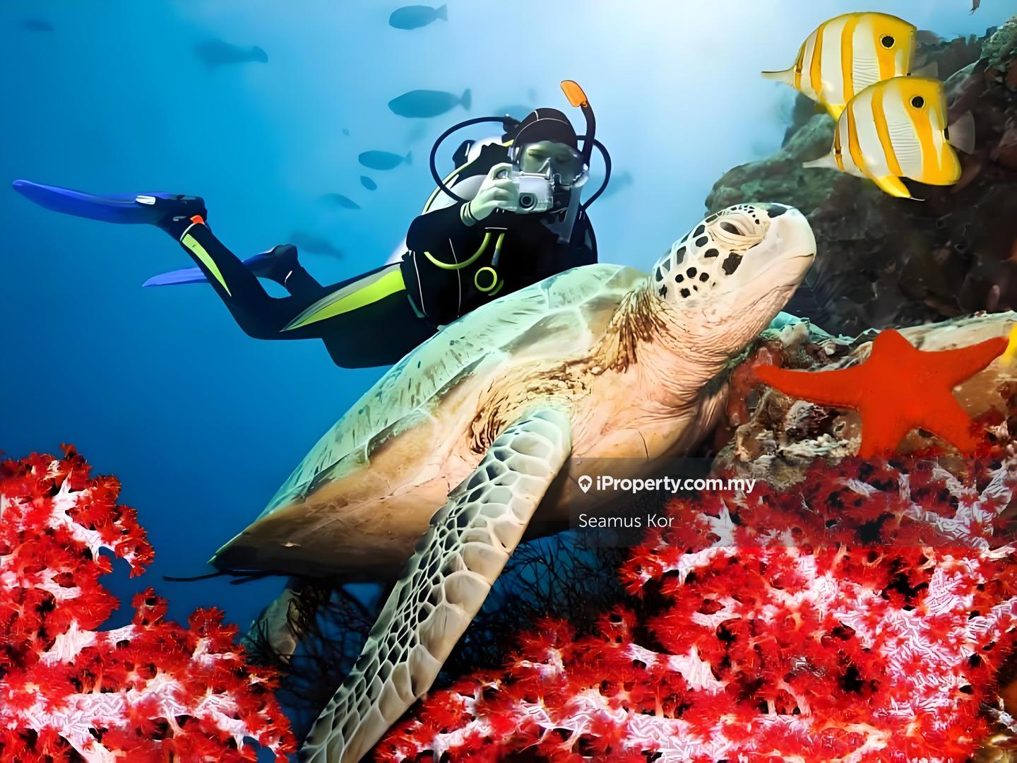 Hotel / Resort for Sale in Kuala Terengganu, Terengganu by Seamus Kor - iProperty.com.my