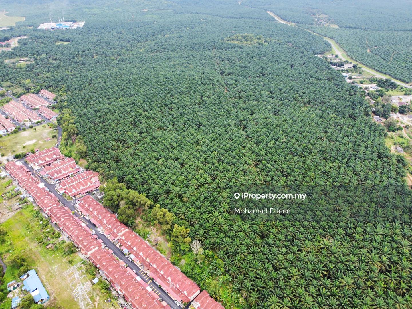 Residential Land for Sale in Bukit Tinggi, Bentong by Mohamad Faleeq - iProperty.com.my