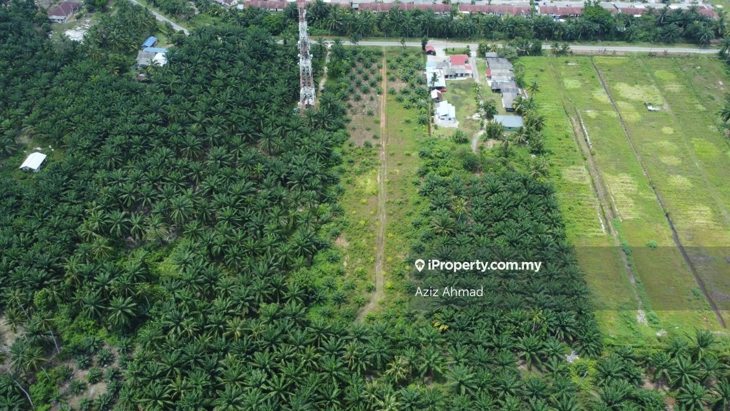 Agricultural Land for Sale in Bagan Lalang, Sepang by Aziz Ahmad - iProperty.com.my