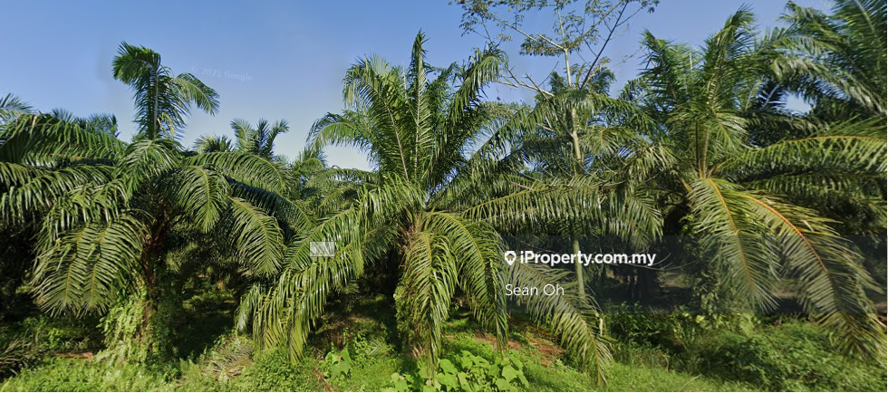 Industrial Land for Sale in Valdor, Sungai Jawi by Sean Oh - iProperty.com.my