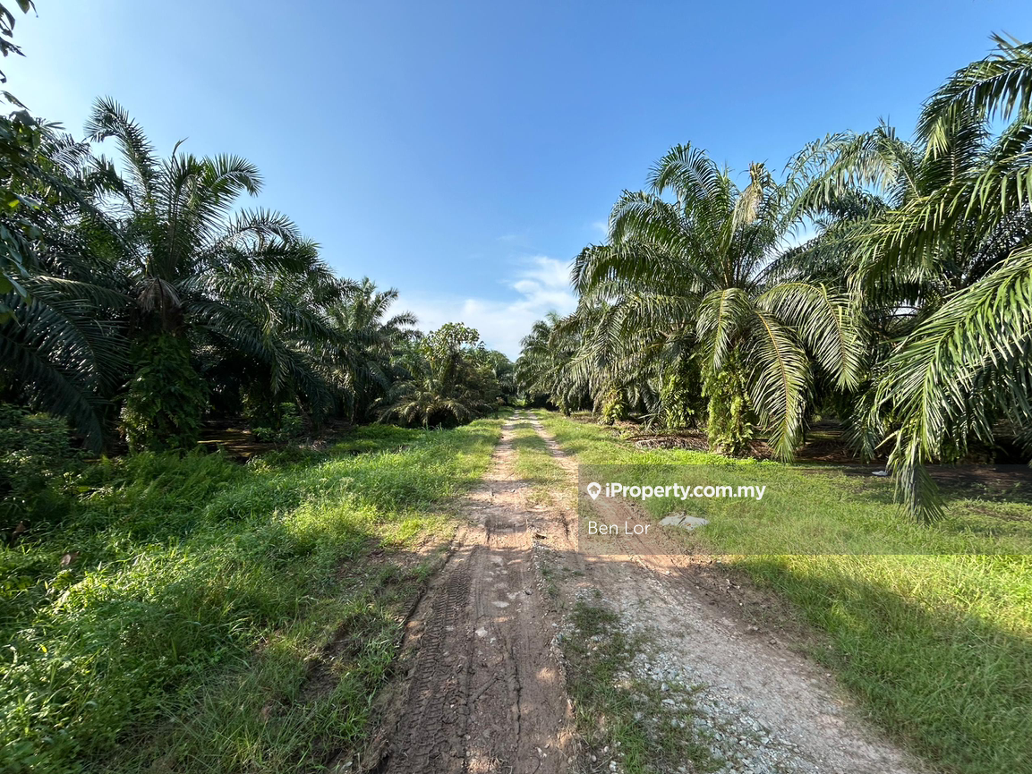 Tanah Pertanian untuk Dijual di Taman Sijangkang Jaya, Telok Panglima Garang oleh Ben Lor - iProperty.com.my