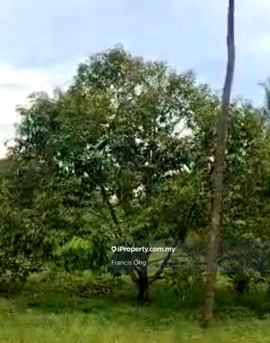 Industrial Land for Sale in Taman Tunggal, Durian Tunggal by Francis Ong - iProperty.com.my