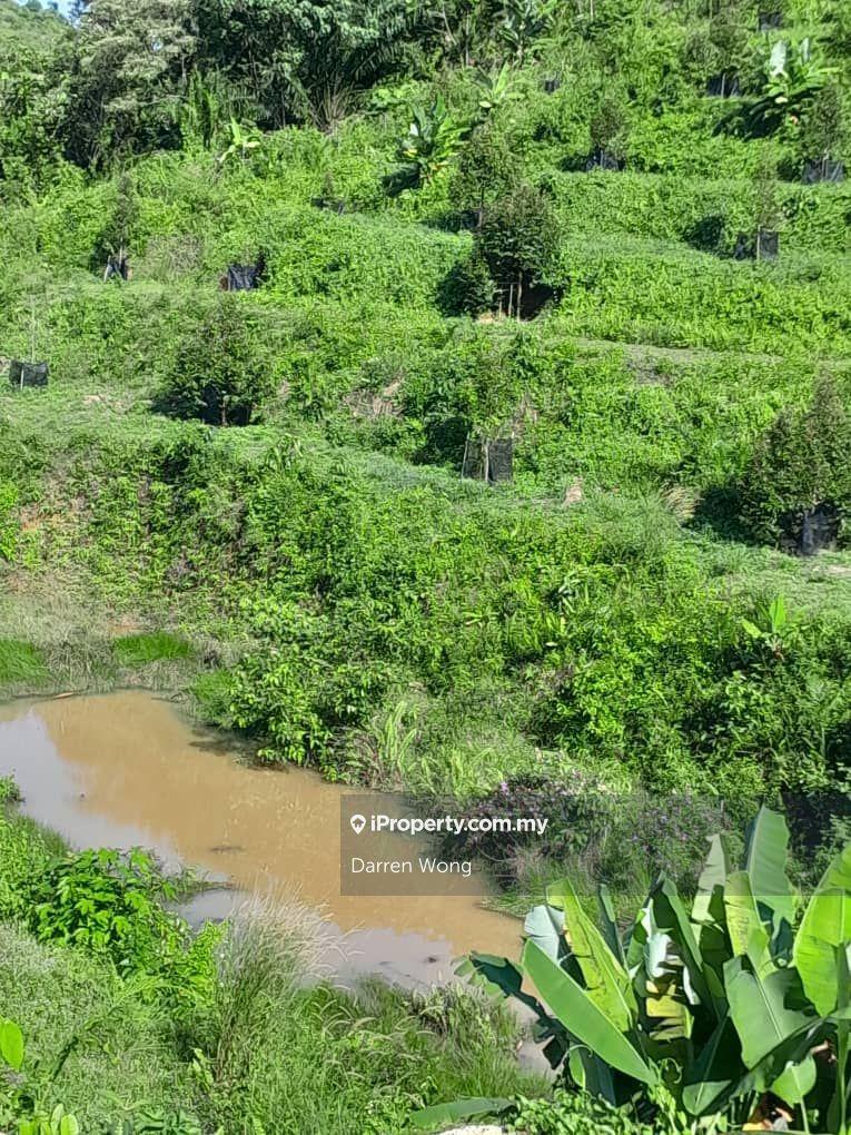 Tanah Pertanian untuk Dijual di Kampung Semerbok, Semerbok oleh Darren Wong - iProperty.com.my