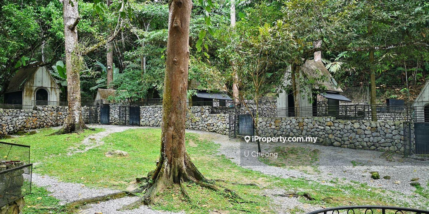 Agricultural Land for Sale in Broga, Lenggeng by U Cheong - iProperty.com.my