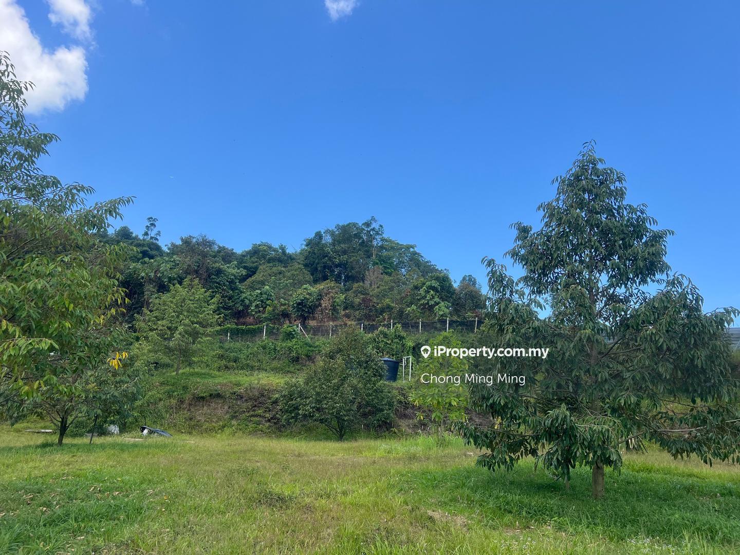 Tanah Pertanian untuk Dijual di Kampung Pantai, Pantai oleh Chong Ming Ming - iProperty.com.my