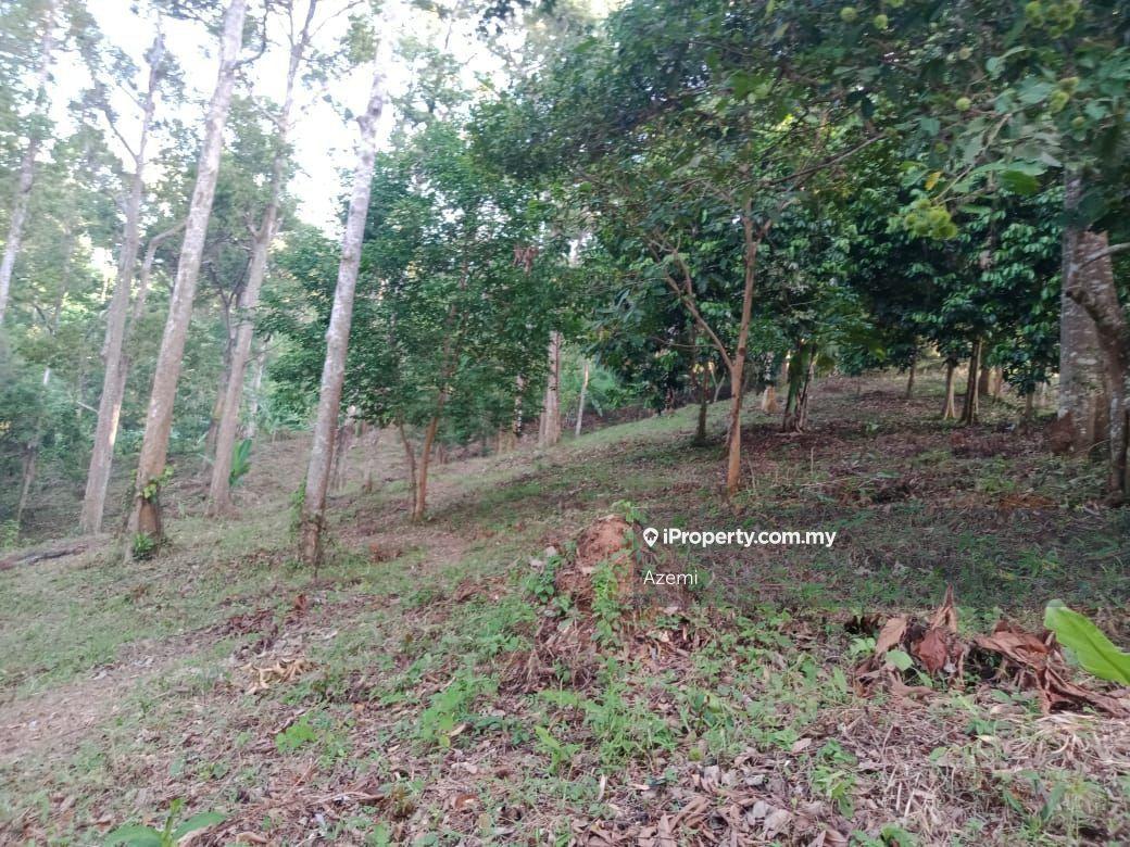 Tanah Pertanian untuk Dijual di Ulu Melaka, Langkawi, Ulu Melaka oleh Azemi - iProperty.com.my