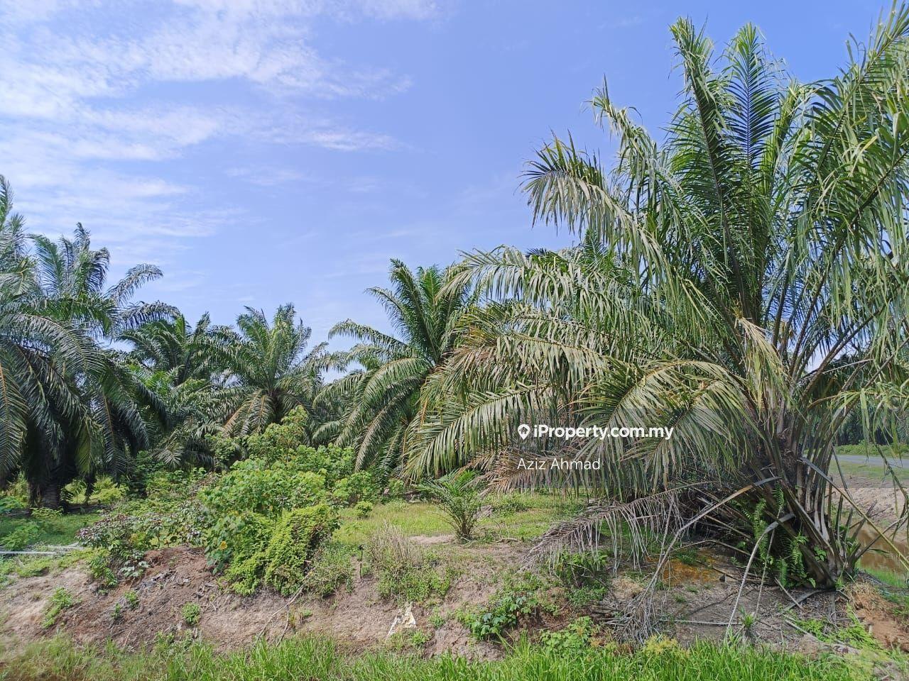 Tanah Pertanian untuk Dijual di Tanjung Sepat, Sepang oleh Aziz Ahmad - iProperty.com.my