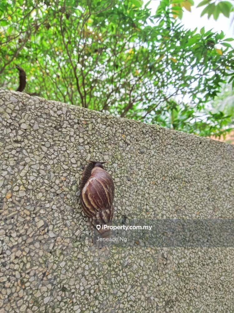 Condominium for Rent in Atmosfera Kondominium by Jeneace Ng - iProperty.com.my