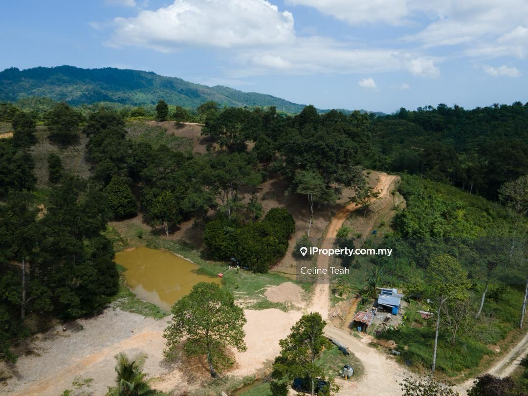 Agricultural Land for Sale in Papar Fruits Farm, Papar by Celine Teah - iProperty.com.my