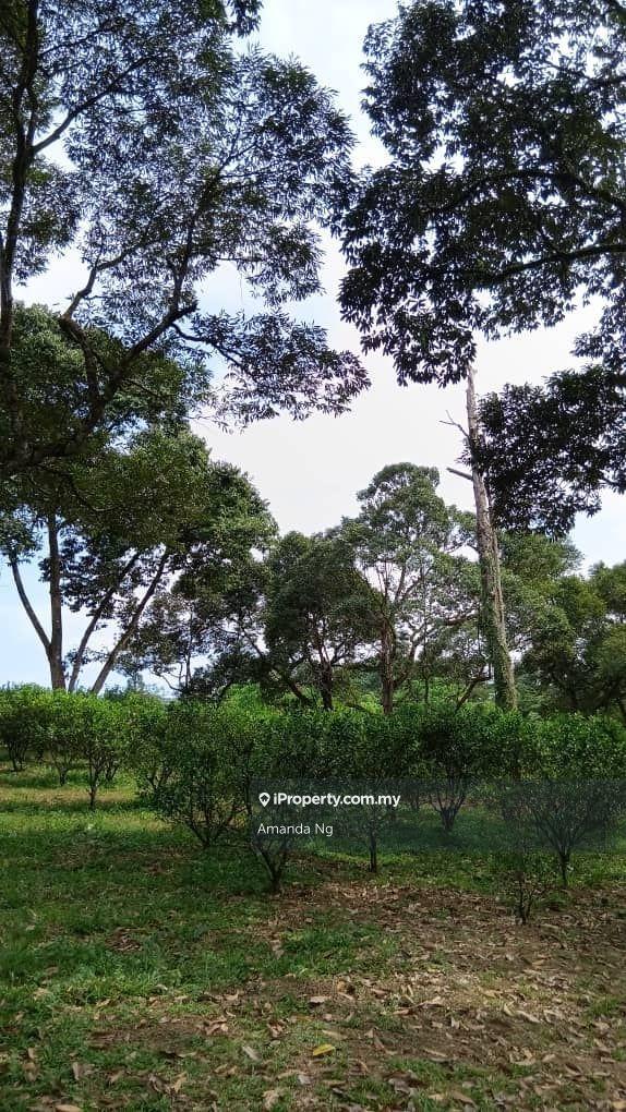Agricultural Land for Sale in Antara Gapi, Ulu Yam by Amanda Ng - iProperty.com.my