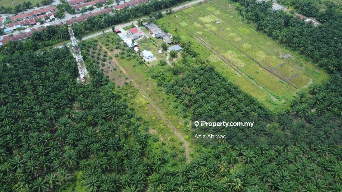 Agricultural Land for Sale in Bagan Lalang, Sepang by Aziz Ahmad - iProperty.com.my