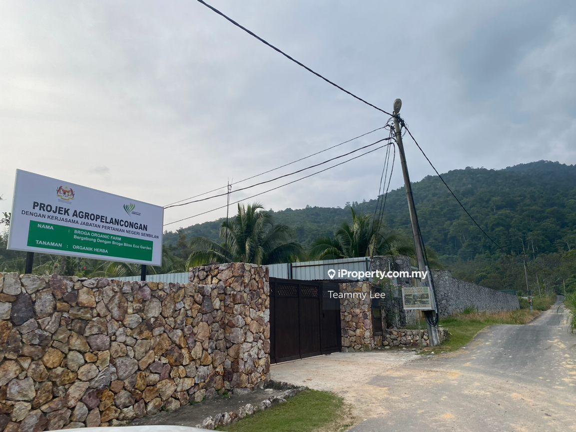 Tanah Pertanian untuk Dijual di Broga , Sak Da Tok Temple, Electric Ready, Tar Roa, Lenggeng oleh Teammy Lee - iProperty.com.my