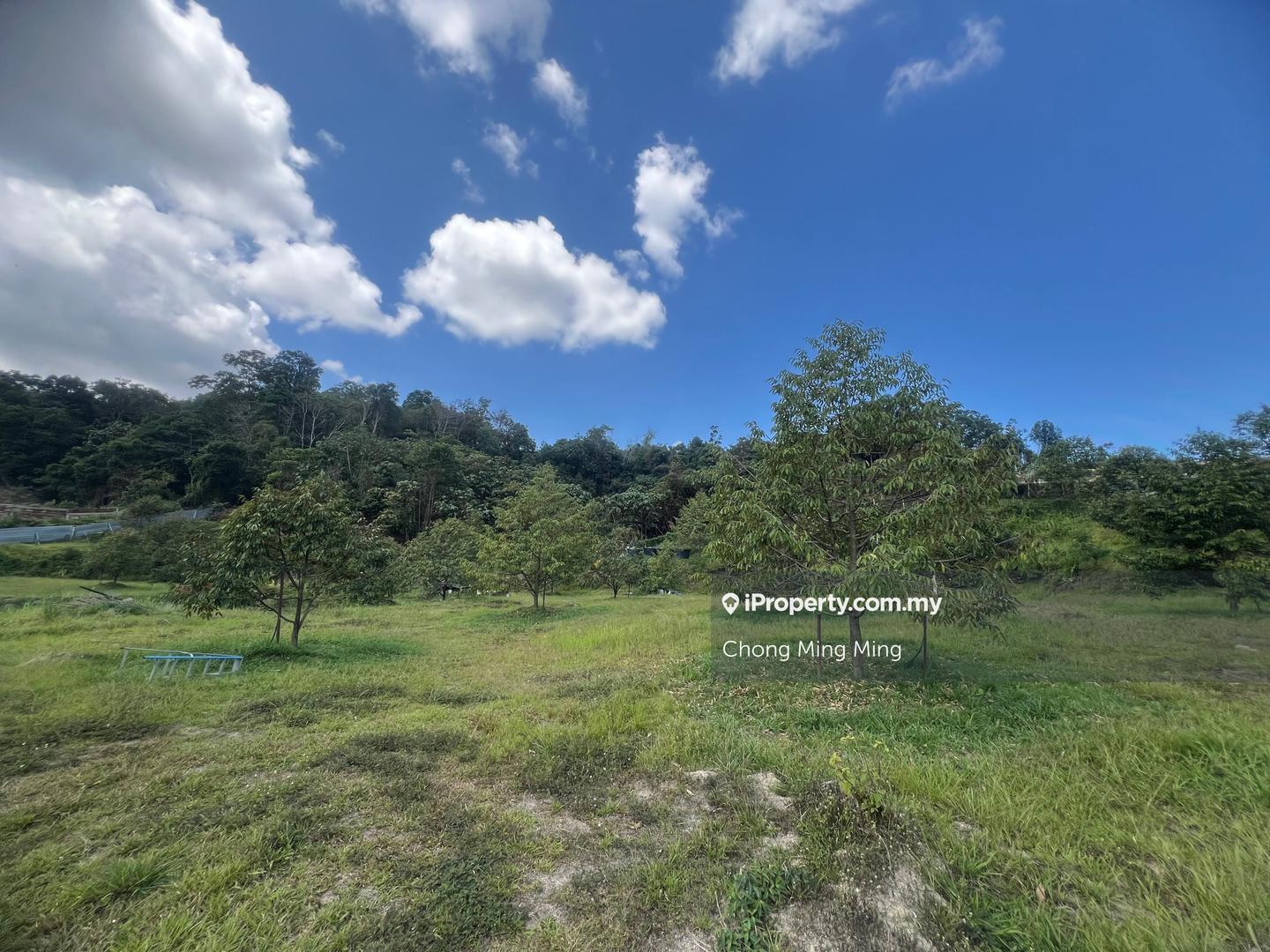 Tanah Pertanian untuk Dijual di Kampung Pantai, Pantai oleh Chong Ming Ming - iProperty.com.my