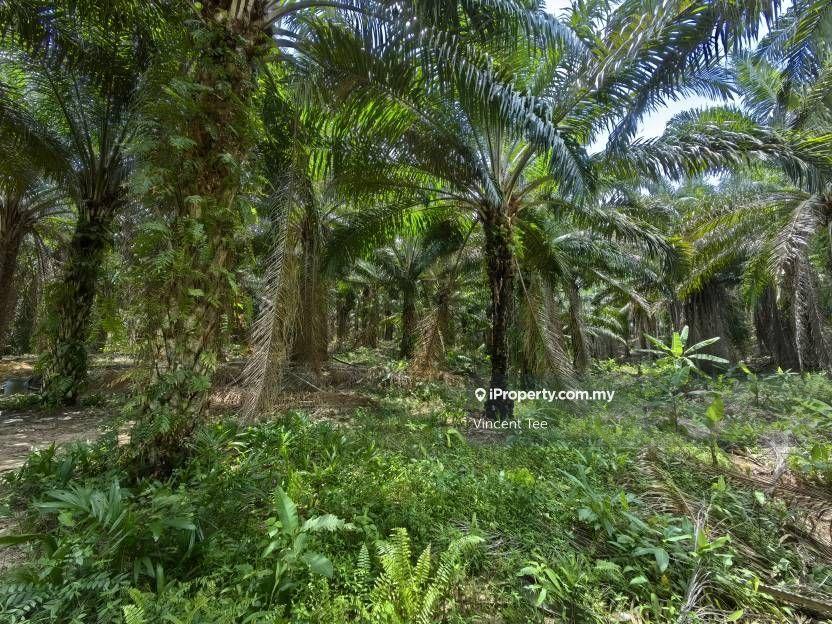 Agricultural Land for Sale in Taman Jelebu, Kuala Klawang by Vincent Tee - iProperty.com.my