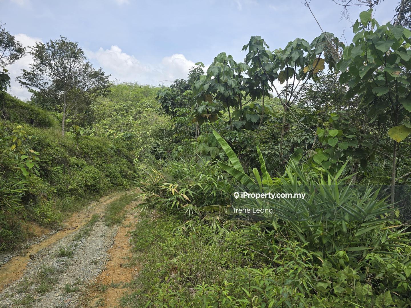 Agricultural Land for Sale in Karak, Pahang by Irene Leong - iProperty.com.my