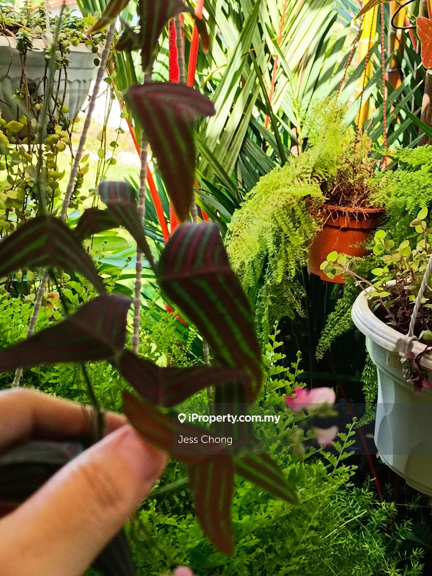 Bungalow House for Sale in Taman Pantai, Bangsar by Jess Chong - iProperty.com.my