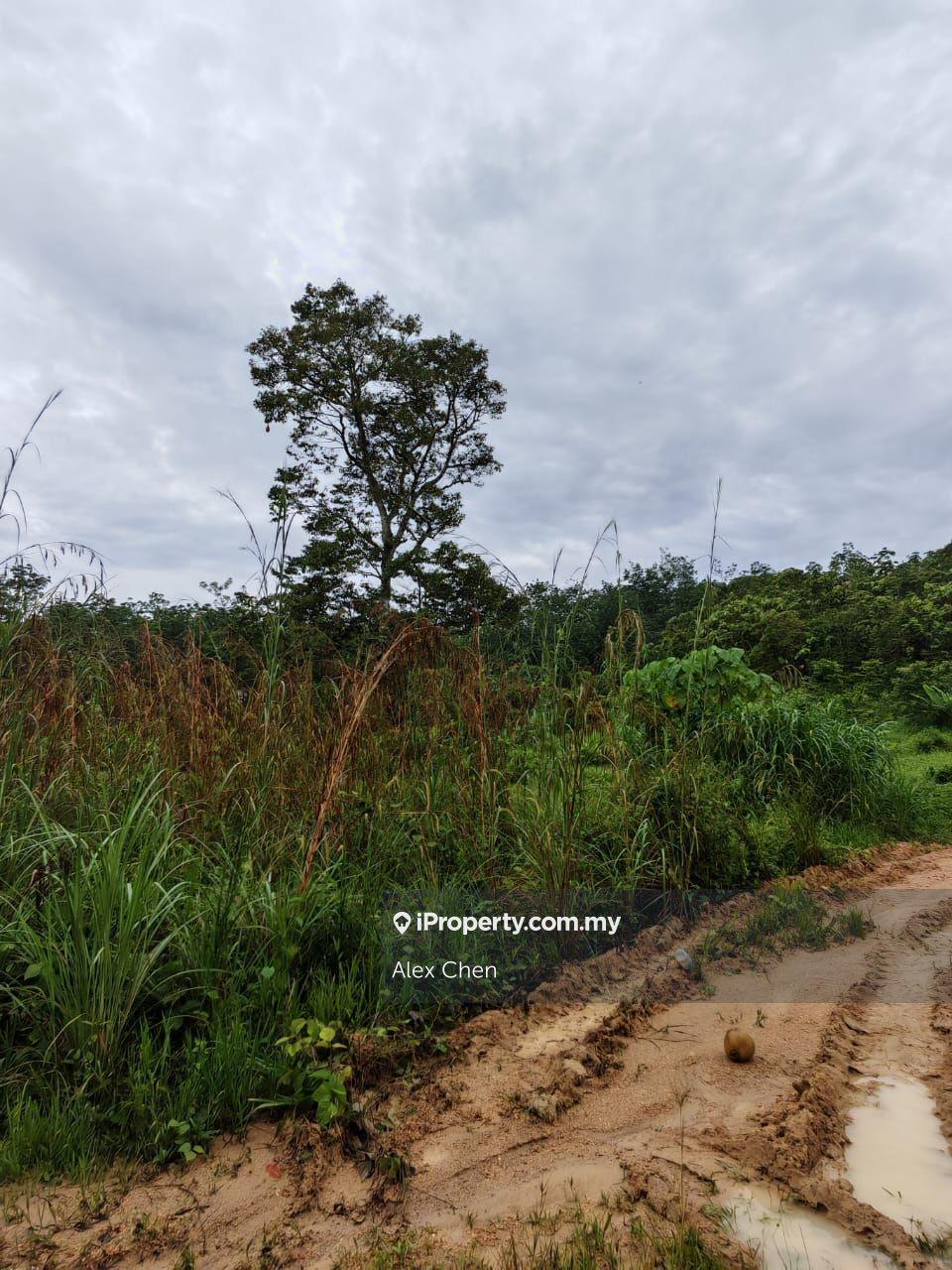 Agricultural Land for Sale in Broga, Lenggeng by Alex Chen - iProperty.com.my