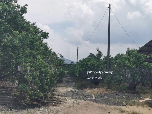 Agricultural Land for Sale in Mantin Pajam Nilai Seremban Agriculture Land WTS, Seremban by Steven Wong - iProperty.com.my