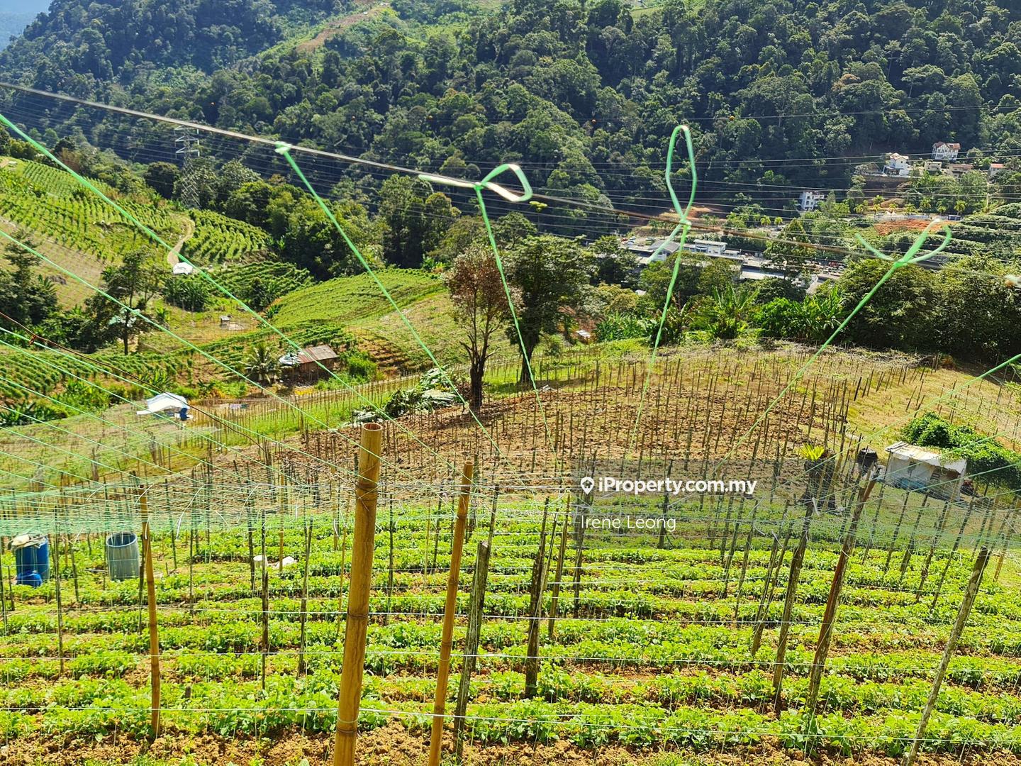 Agricultural Land for Sale in Genting Highlands, Bentong by Irene Leong - iProperty.com.my