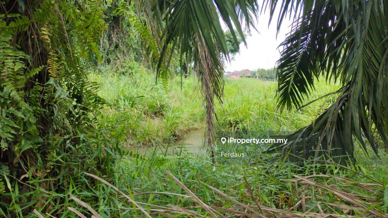 Tanah Pertanian untuk Dijual di Parit Raja, Sri Gading oleh Ferdaus - iProperty.com.my