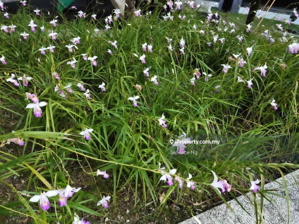 Condominium for Rent in Atmosfera Kondominium by Jeneace Ng - iProperty.com.my